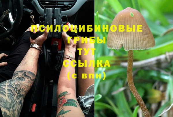 прущие крисы Абинск