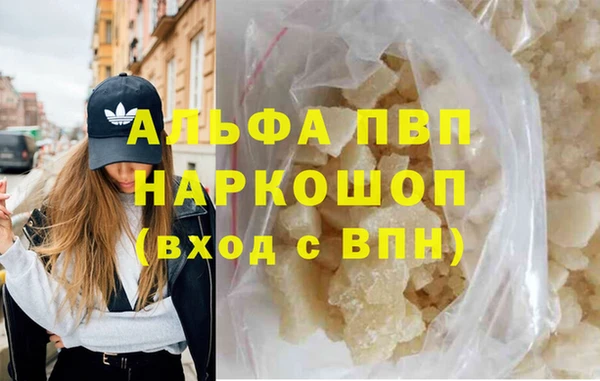 a pvp Магас
