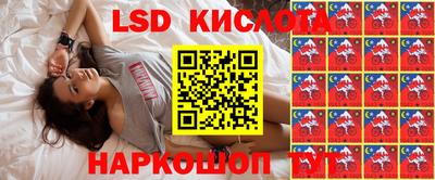 дживик Камышлов