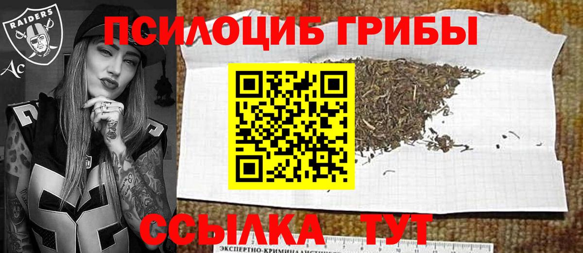 Лесозаводск  купить наркоту  Вход с VPN  Галлюциногенные грибы Cubensis 